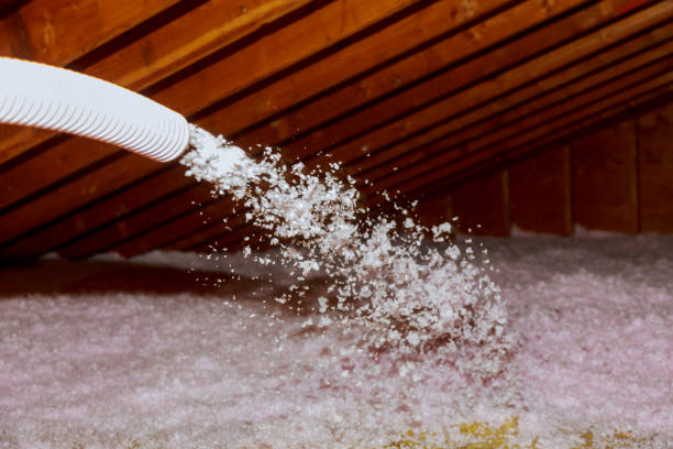 Best Insulation for New Construction  in Hubbard, TX