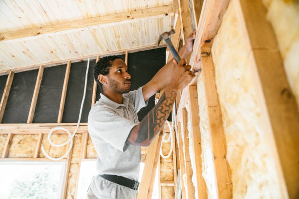 Best Insulation Replacement Services  in Hubbard, TX