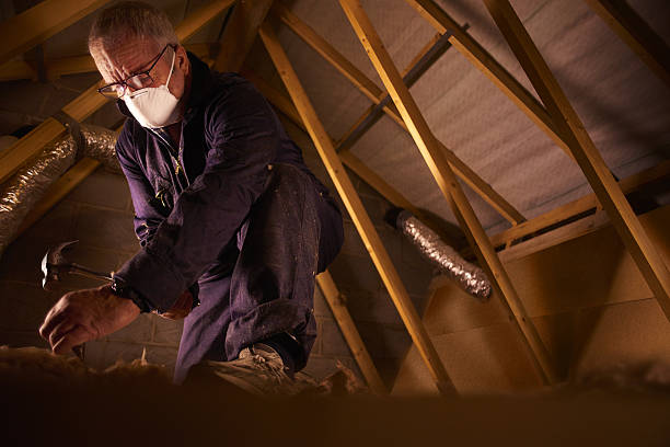Best Soundproof Insulation Installation  in Hubbard, TX